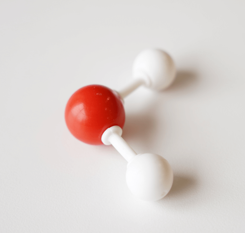 Nicole Nicholas - Research Associate