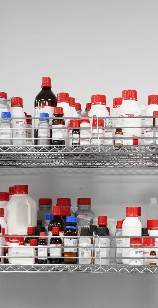 Team members outdoors