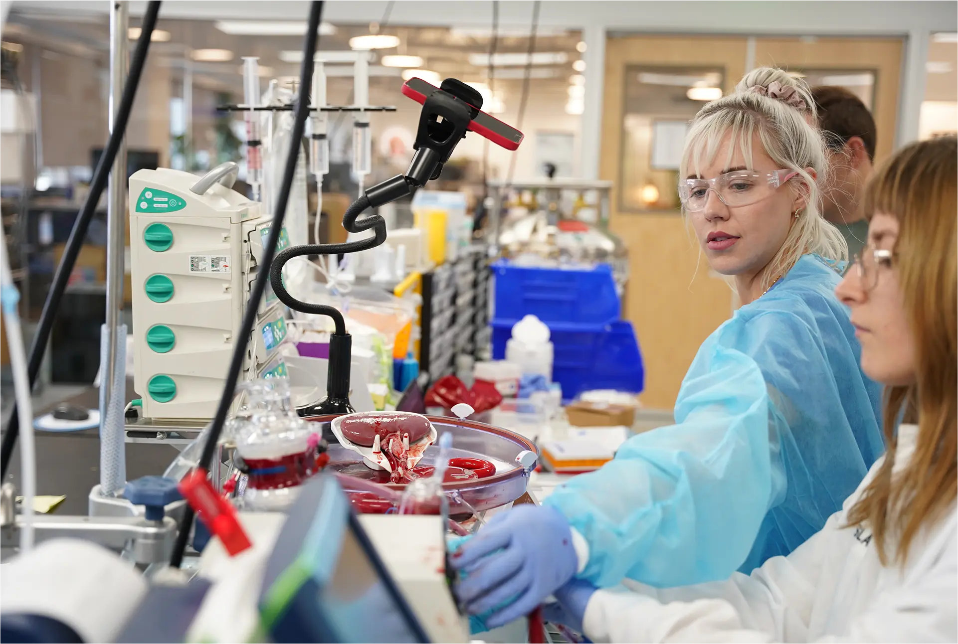 Senior Researcher - Bioengineering