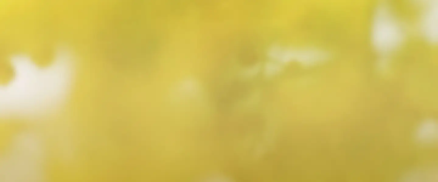 Blog Hero