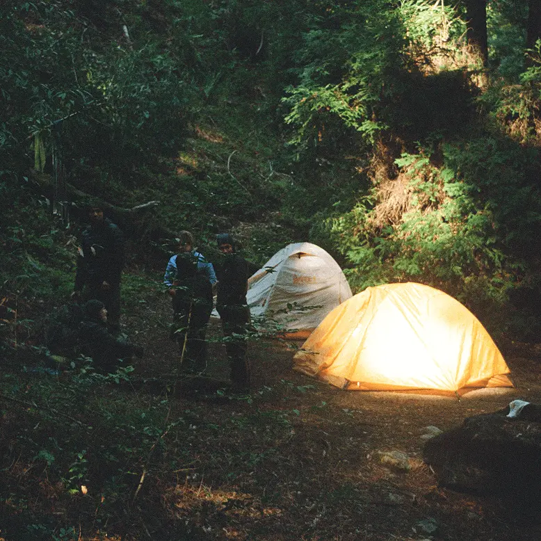 Camping in forest