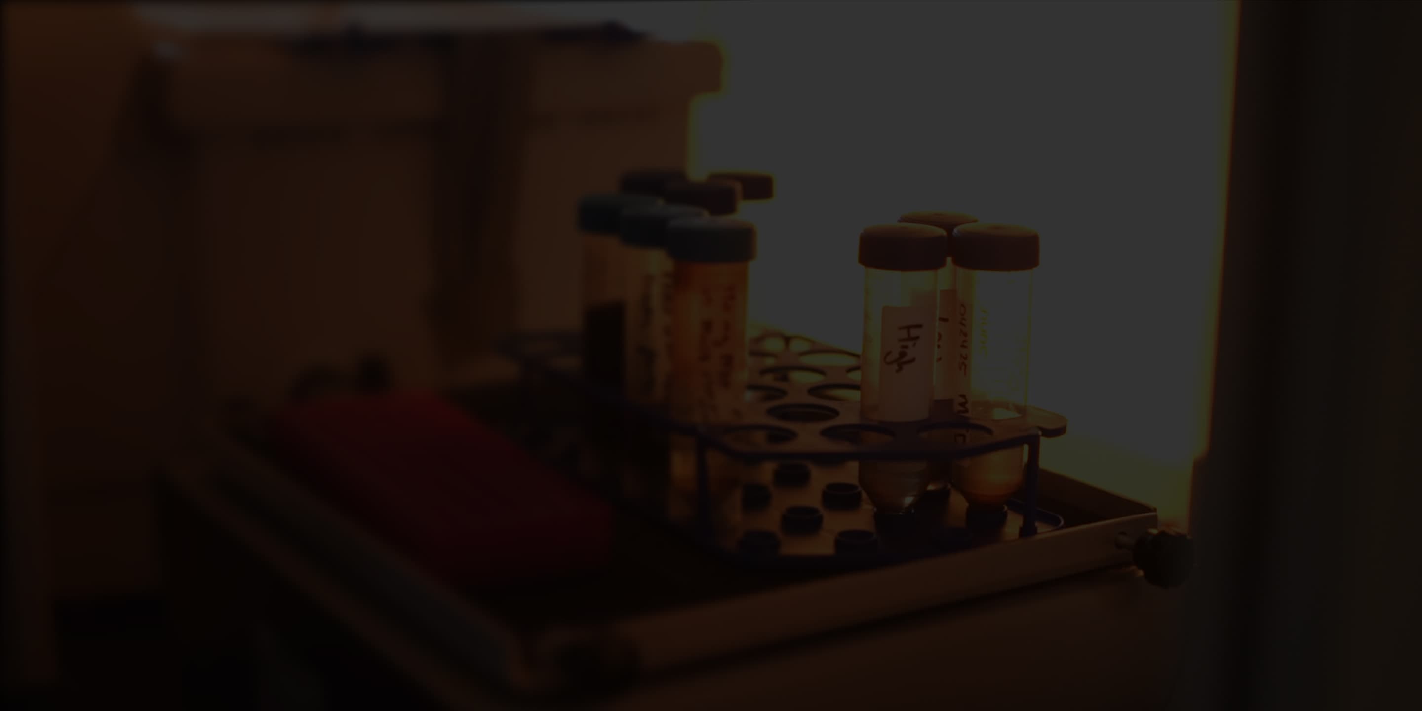 Toward Transplant