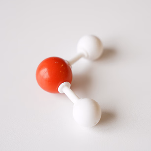 Mia Chao - Operations Associate